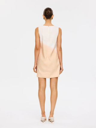Teresa Mini Dress in Pink