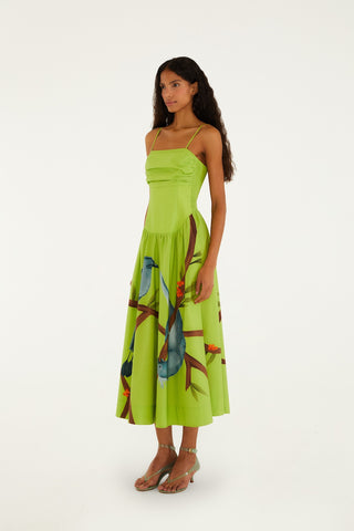 Maxi Dress in Green