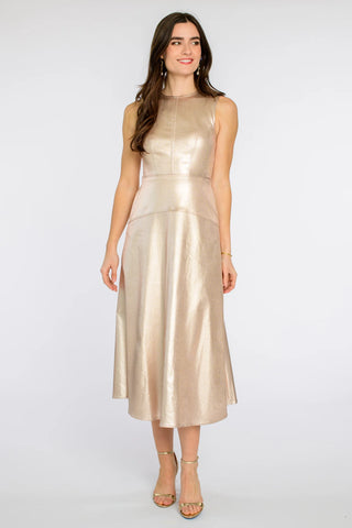 Claire Dress in Metallic Denim