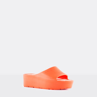 Kelsie Slides