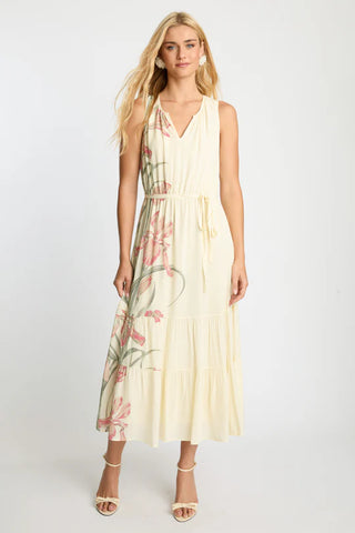 Carol Dress in Striped Iris