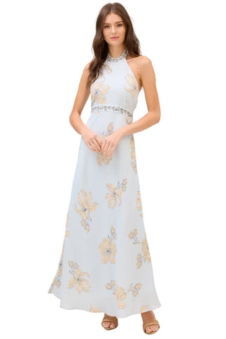 Riley Maxi Dress in Pale Blue Floral